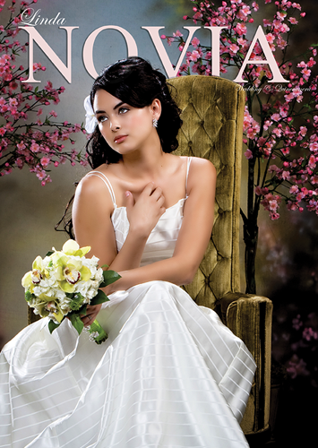 Linda Novia wedding and quinceañera celebration